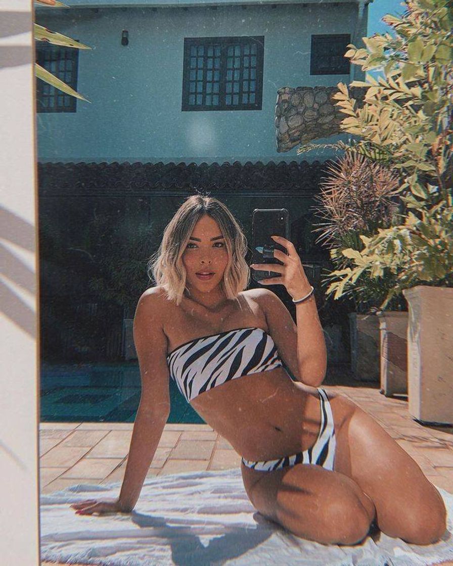 Social Zebra 🦓