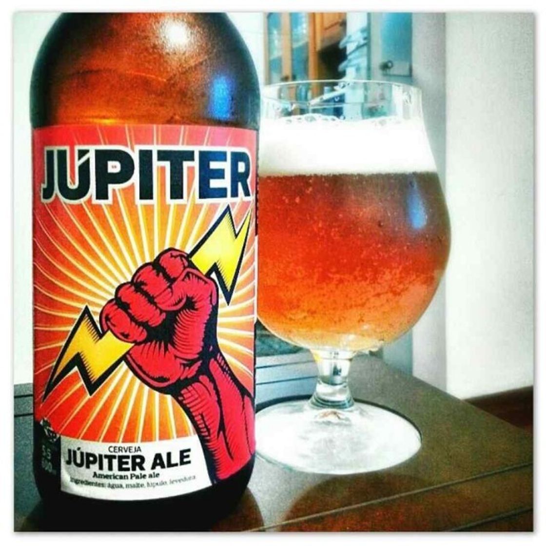 Fashion Júpiter American Pale Ale

