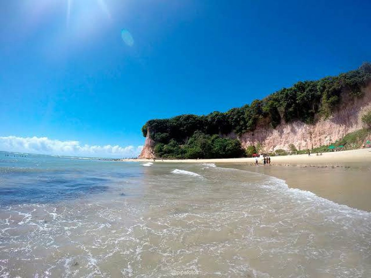 Lugar Playa Bahia De Los Delfines