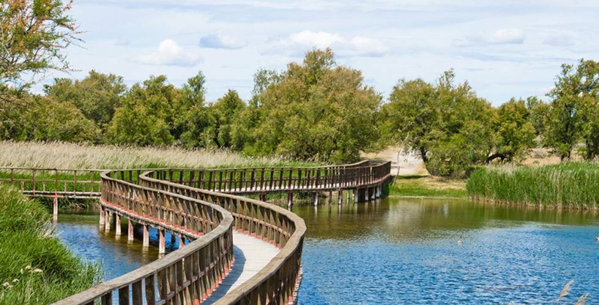 Place Tablas de Daimiel