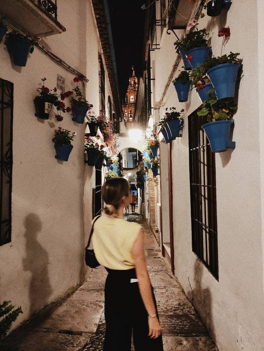 Place Calleja de las Flores