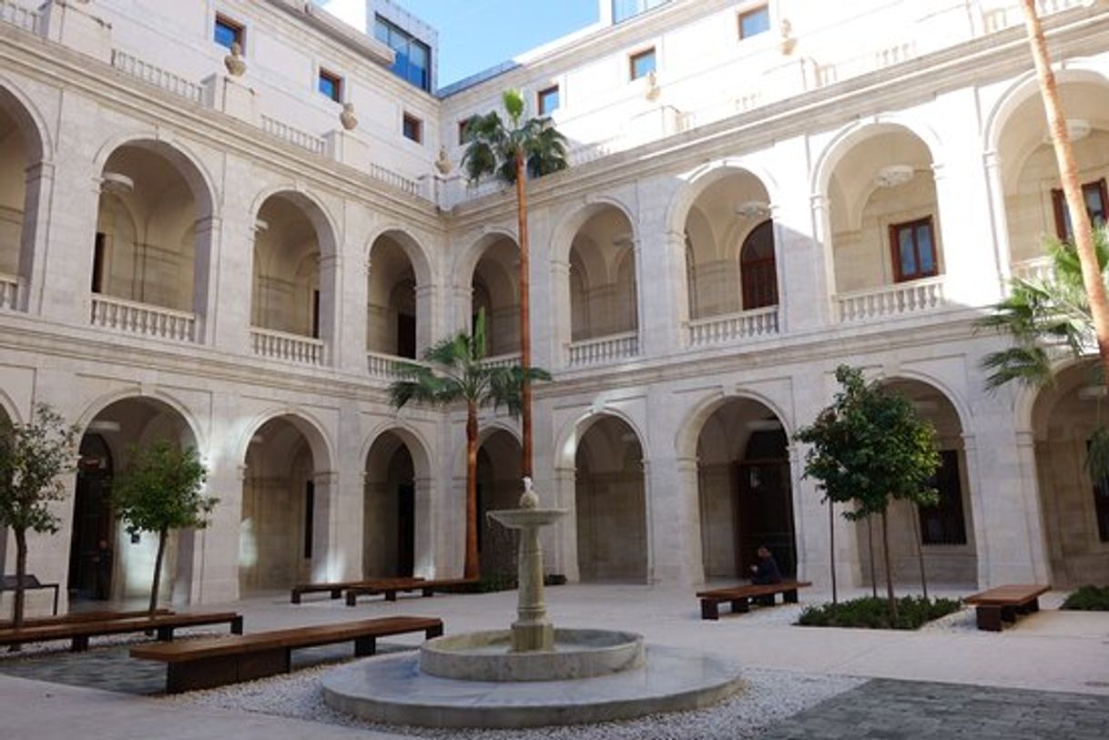 Place Museo de Málaga