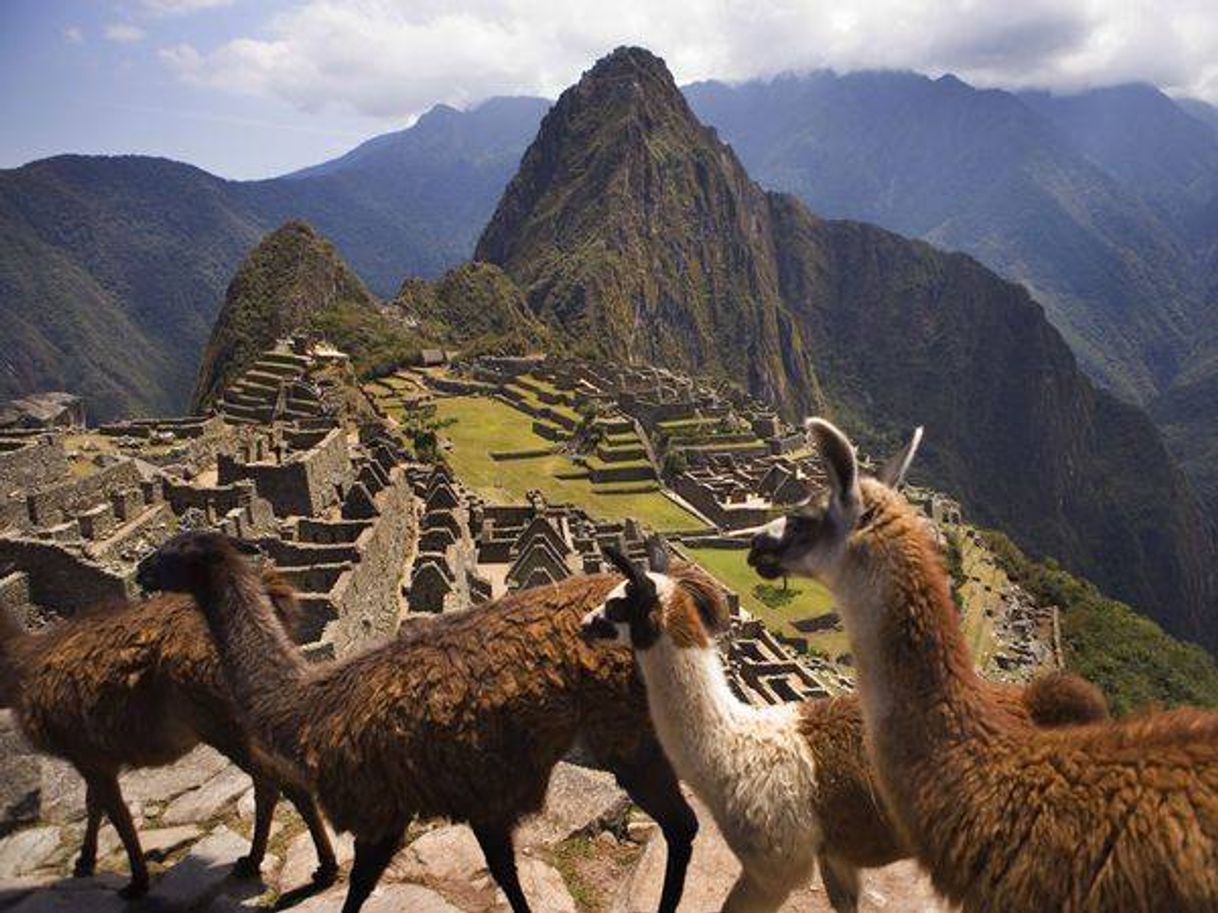 Fashion Machu Picchu.