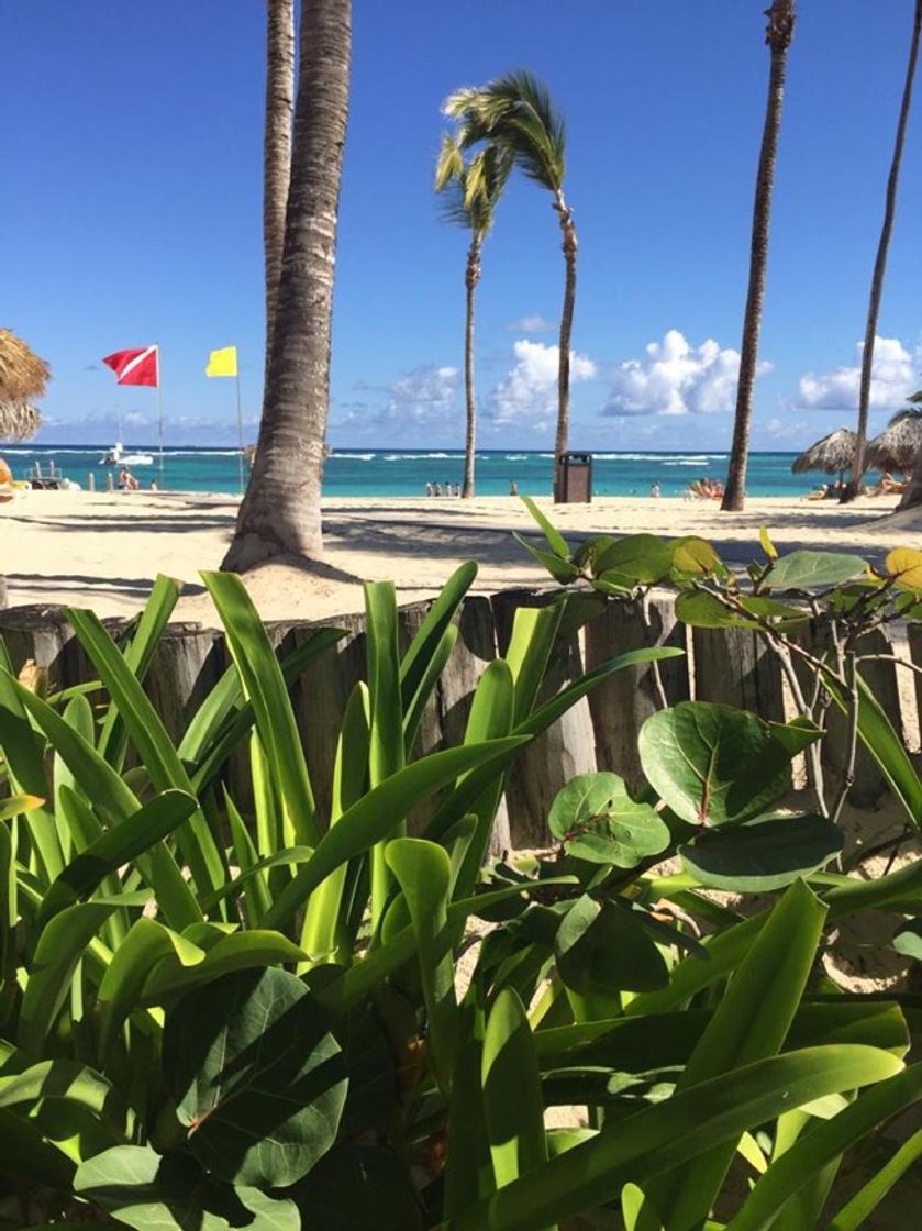 Lugar Punta Cana