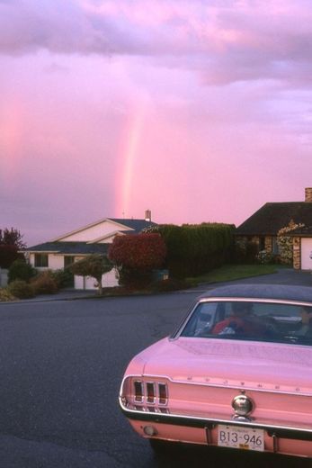 heaven pink + car 