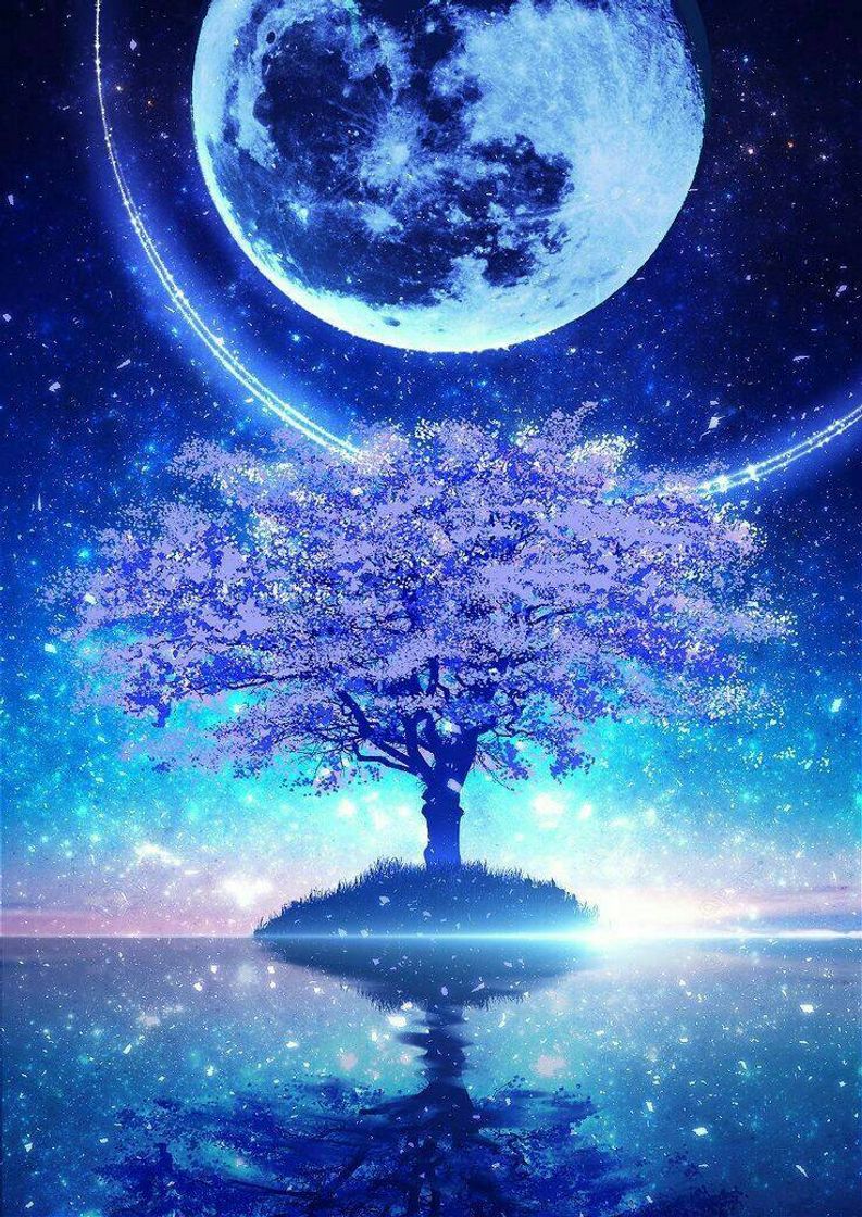 Social 🌳💧Wallpaper💧🌳