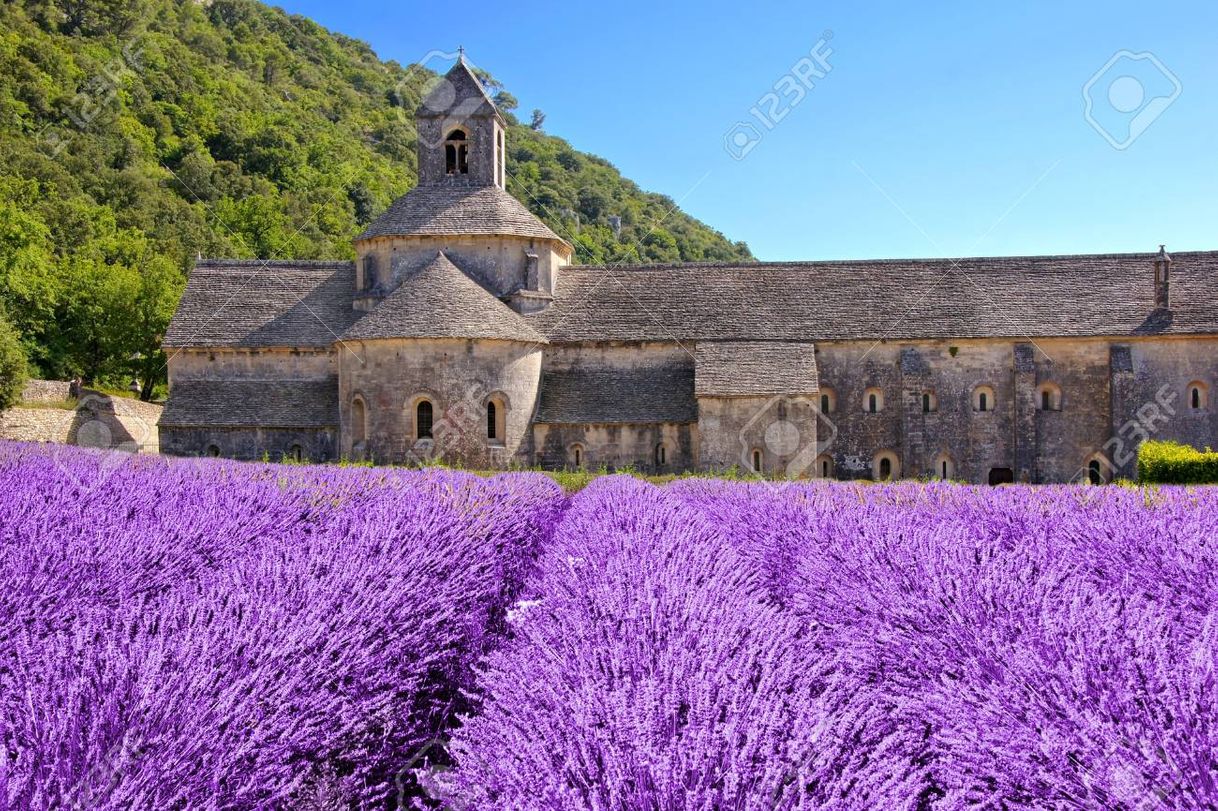 Lugar Sénanque Abbey