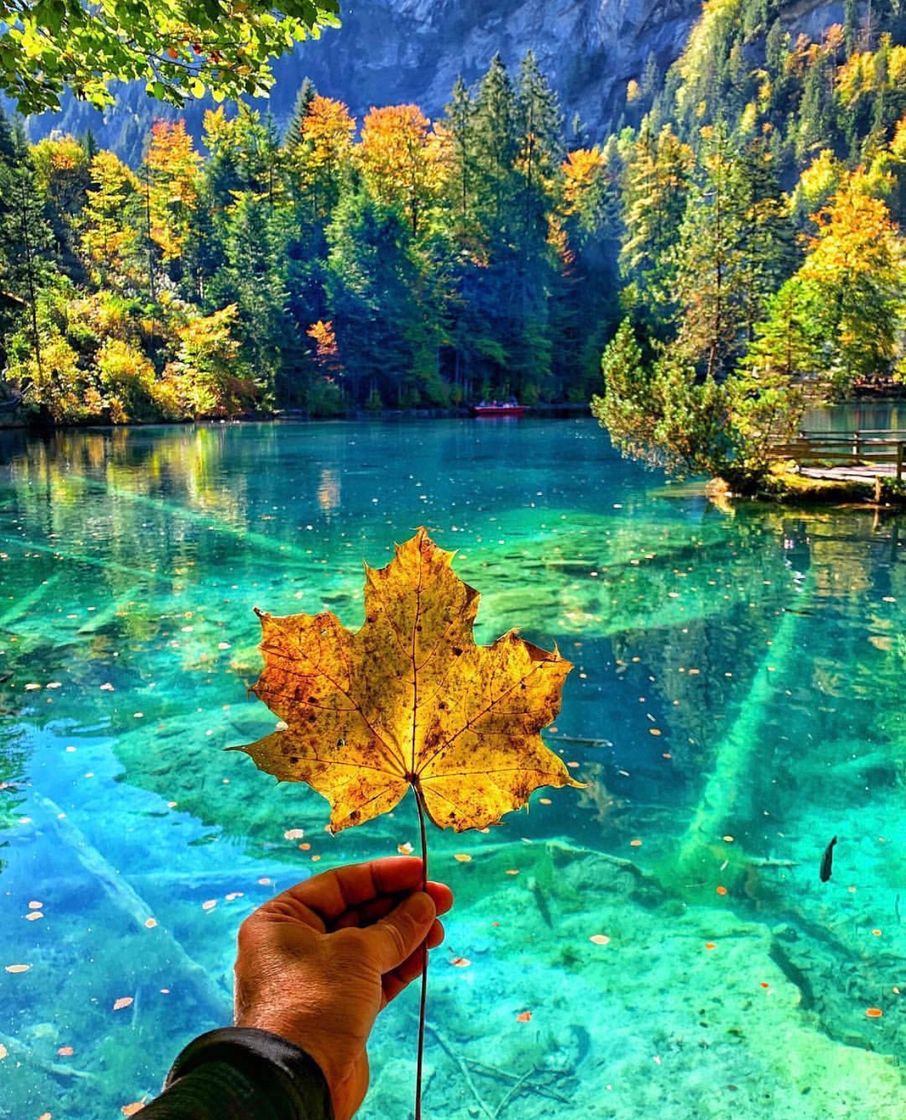 Lugar Blausee