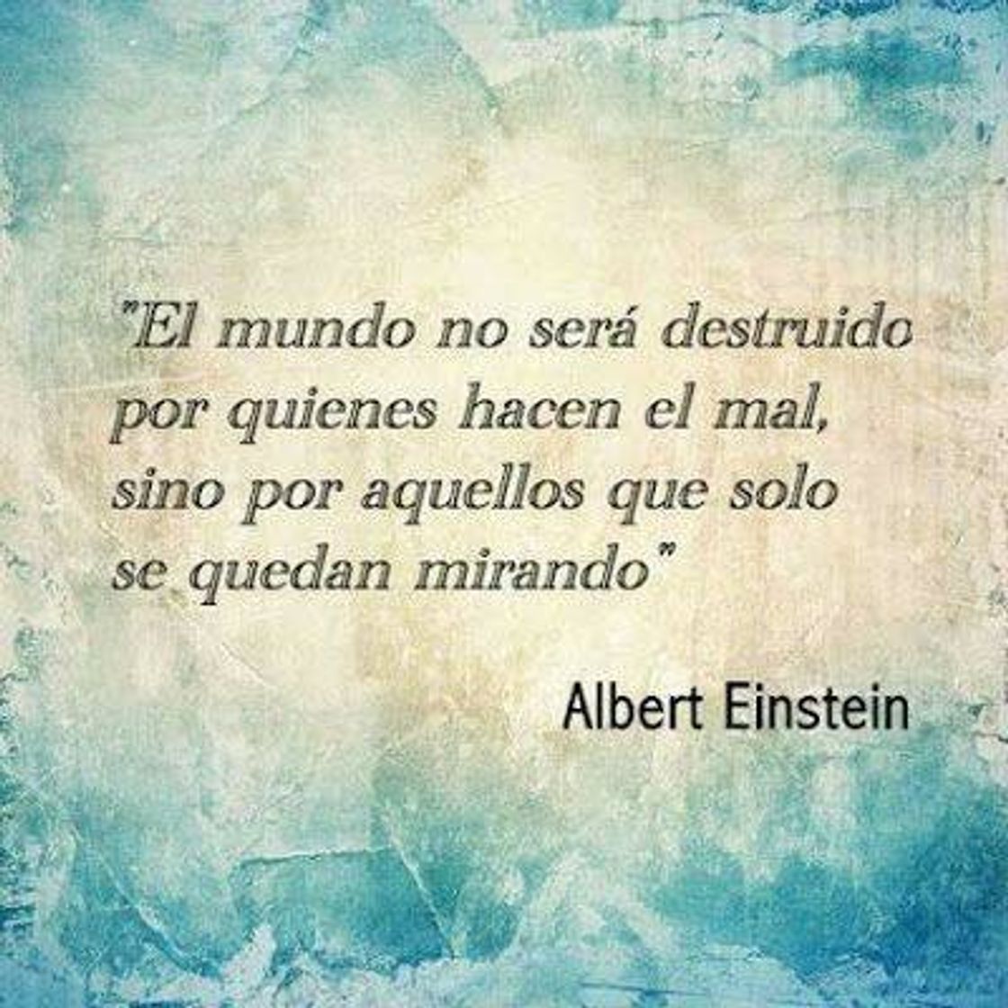 Social Reflexiones