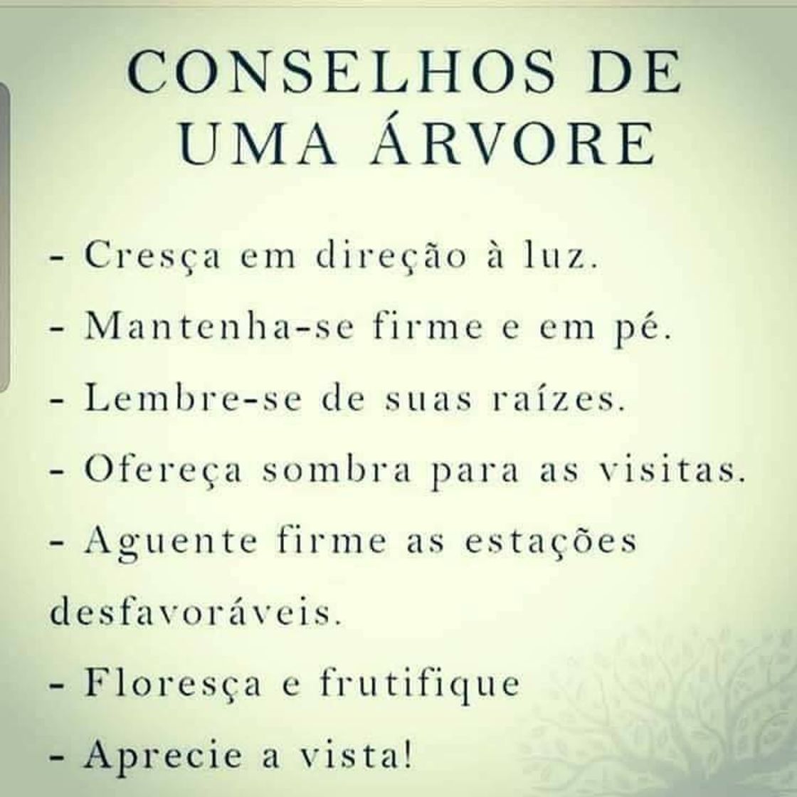 Social Eu recomendo 😌