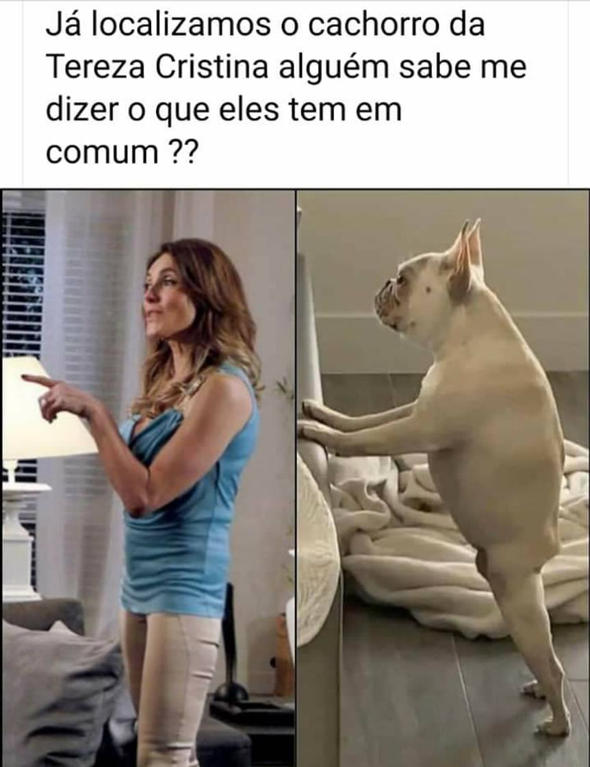 Moda 🤭🤭