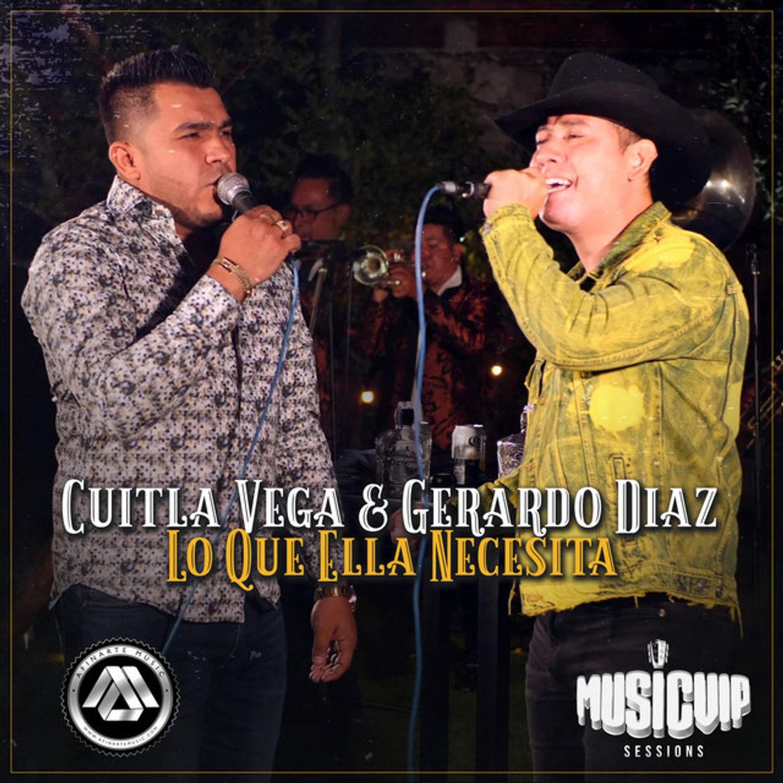 Music Lo Que Ella Necesita