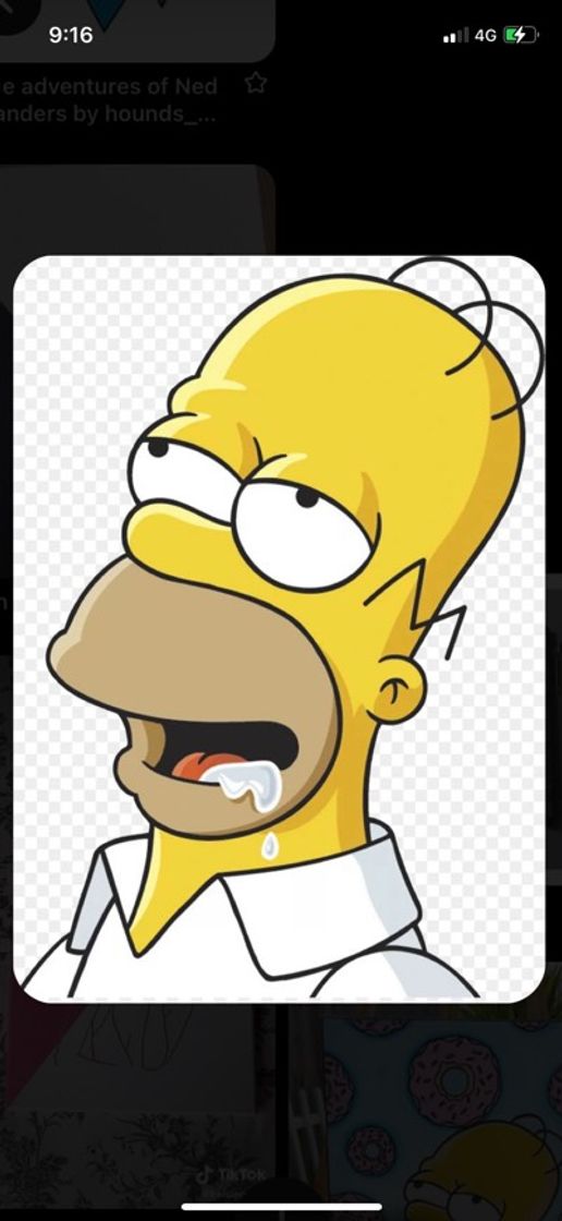 Moda Fundo tela homer