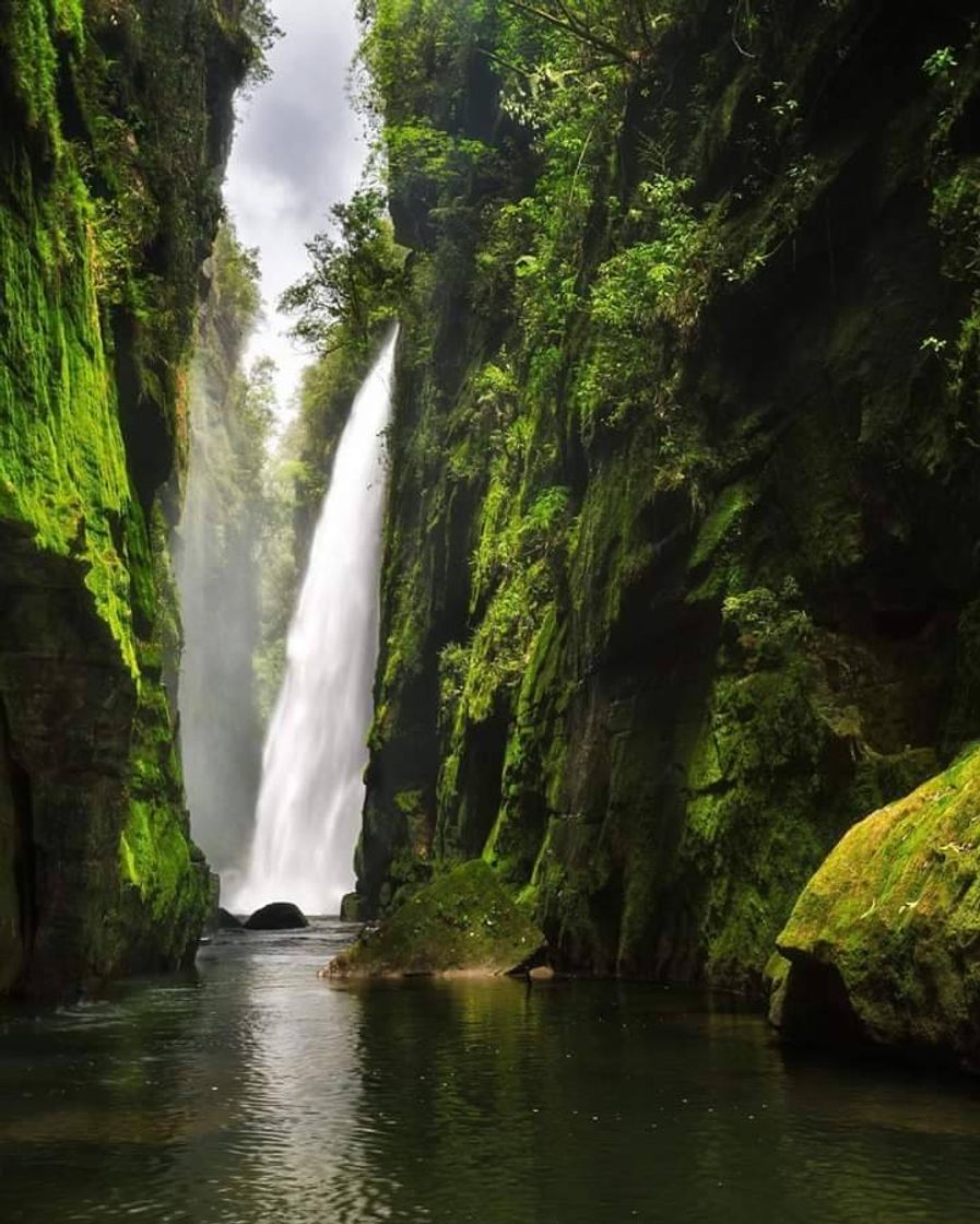 Place Cachoeira Véu de Noiva