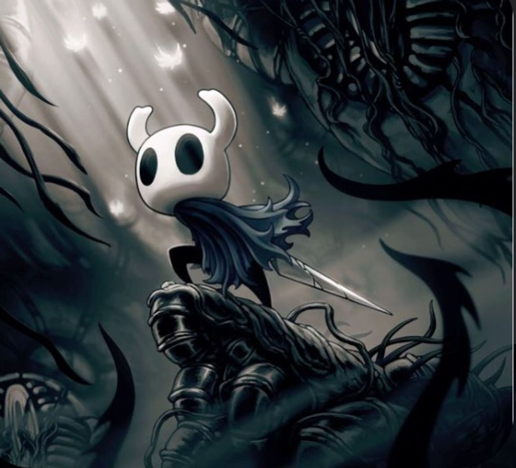 Fashion Hollow Knight 