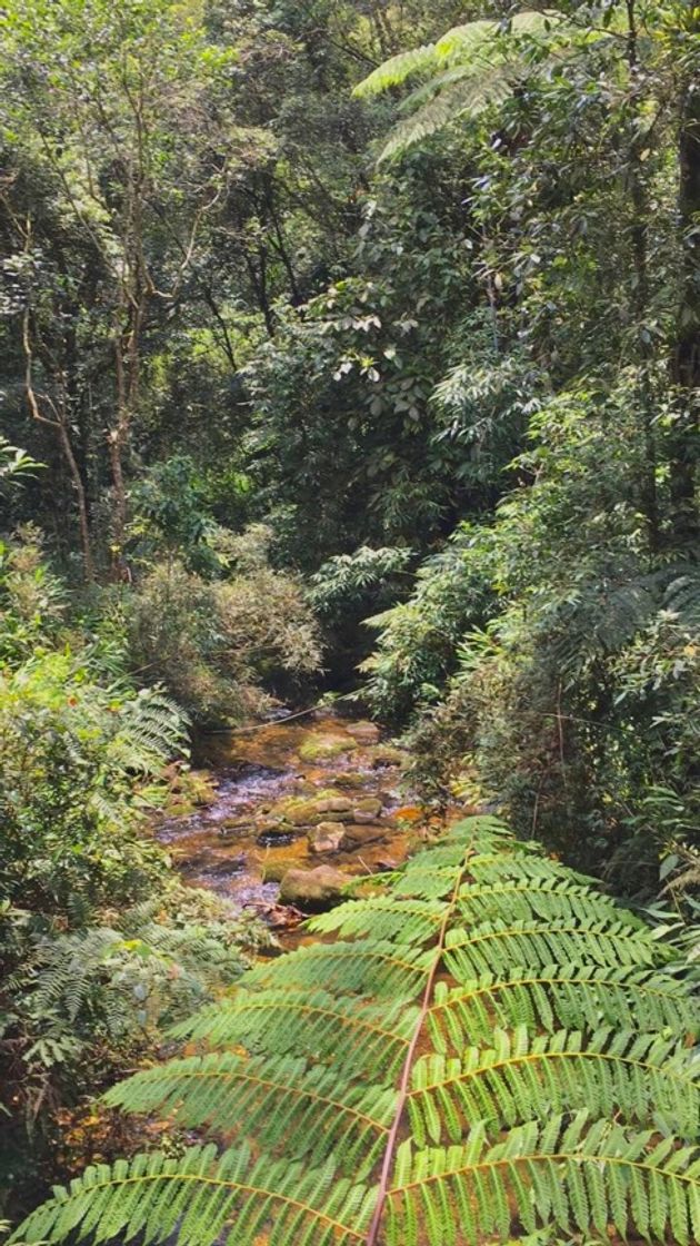 Places Rio Grande da Serra