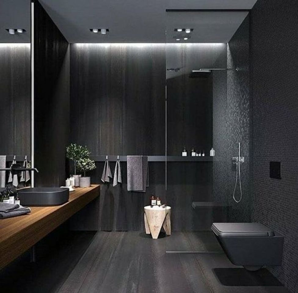 Moda Dark bathroom 