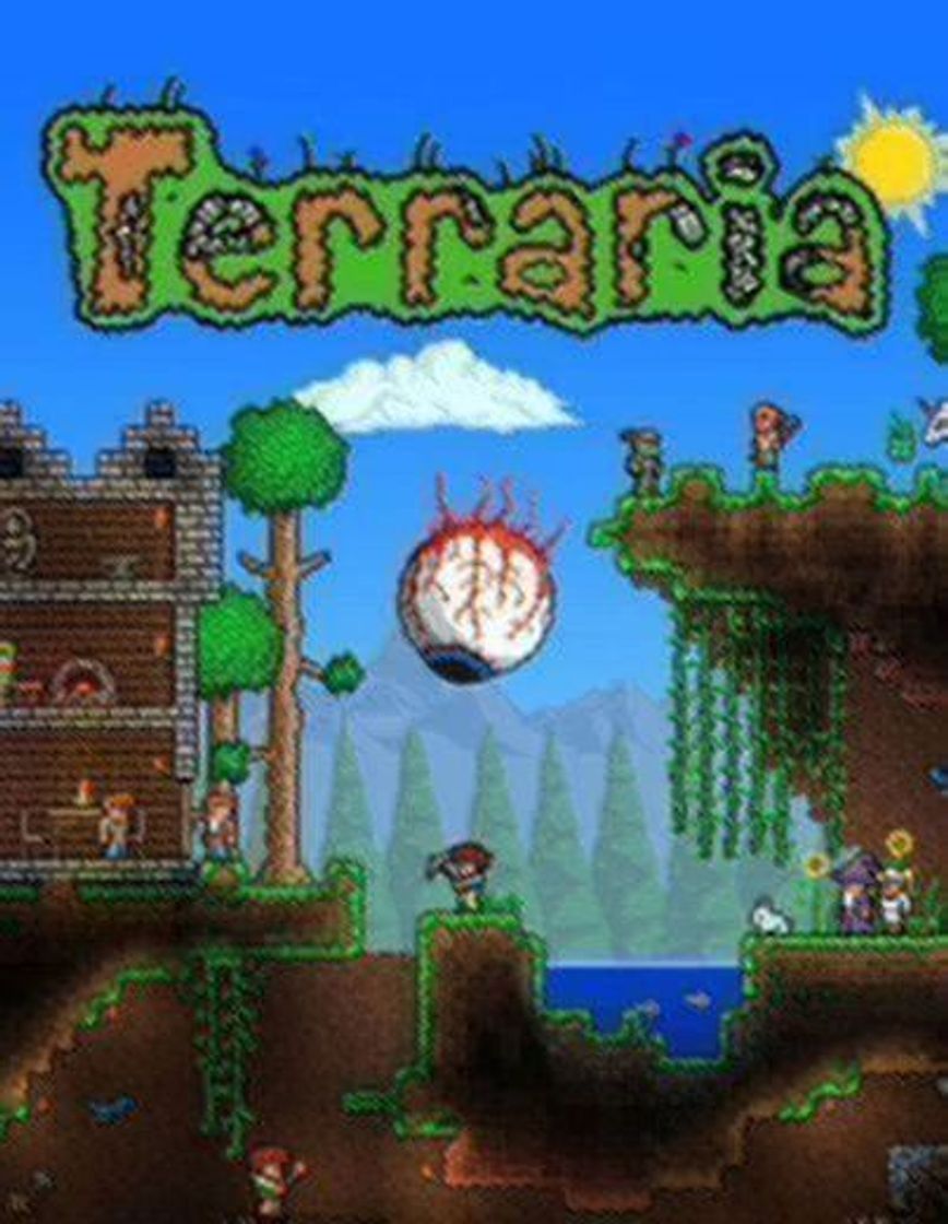 Videogames Terraria