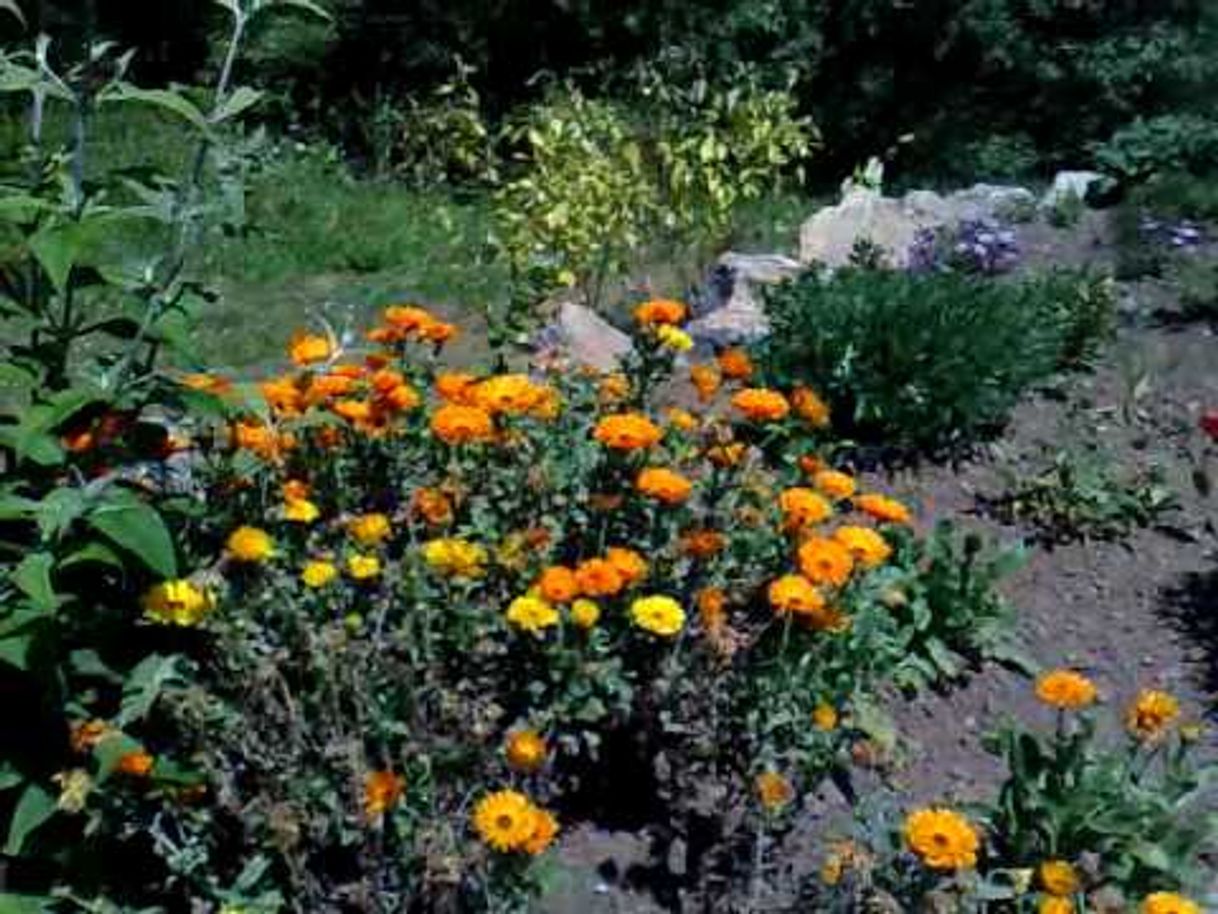 Places Jardín de las Mariposas