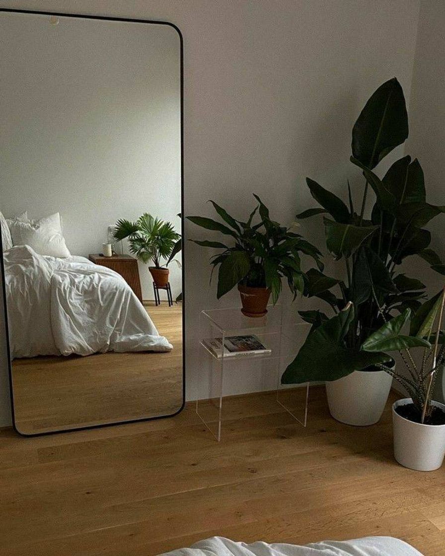 Moda Plantas no quarto