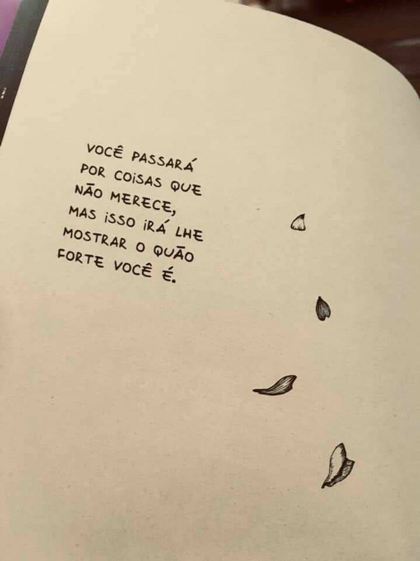 Moda Frase 🦋