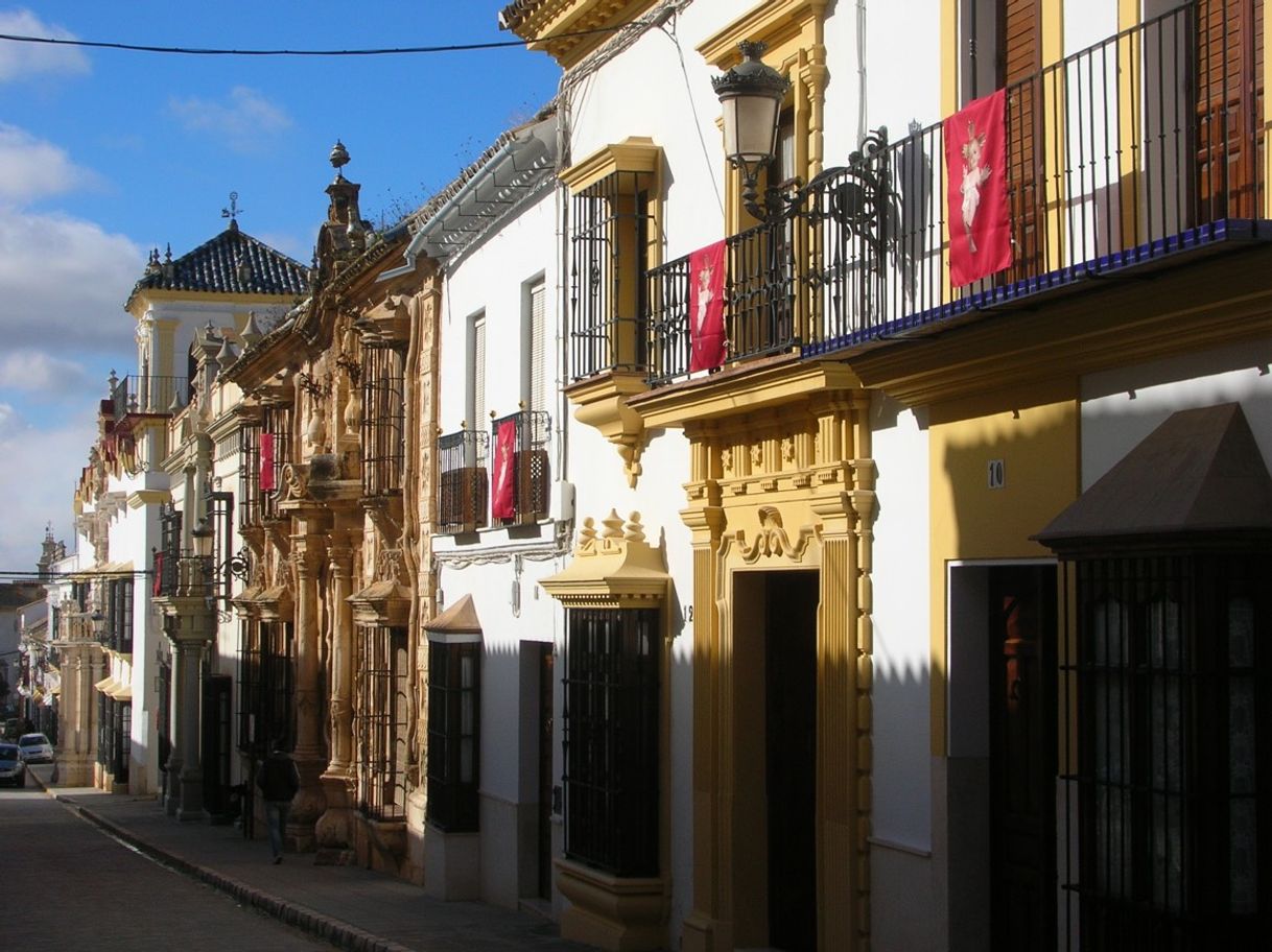 Lugar Calle San Pedro de Osuna