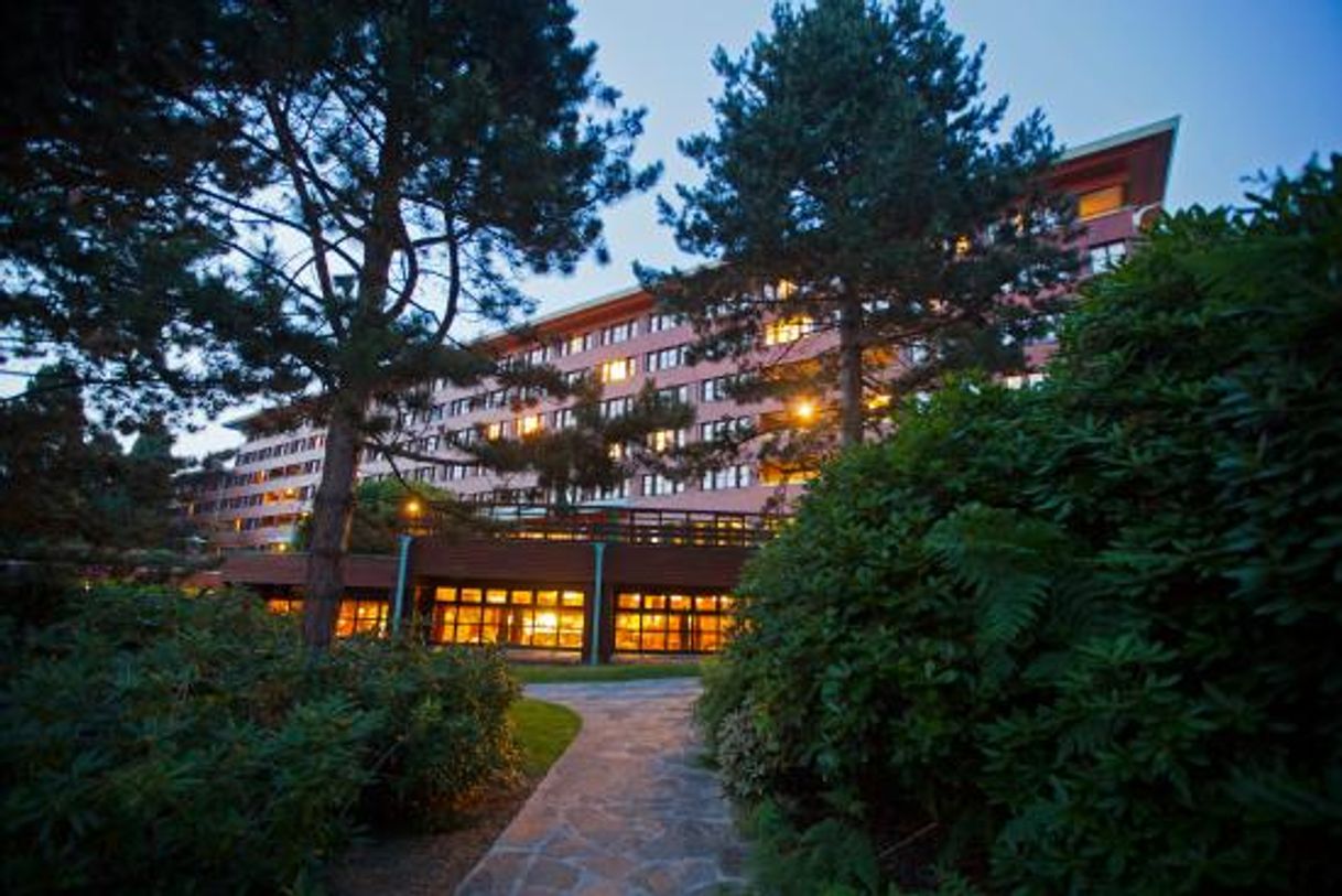 Place Disney's Sequoia Lodge