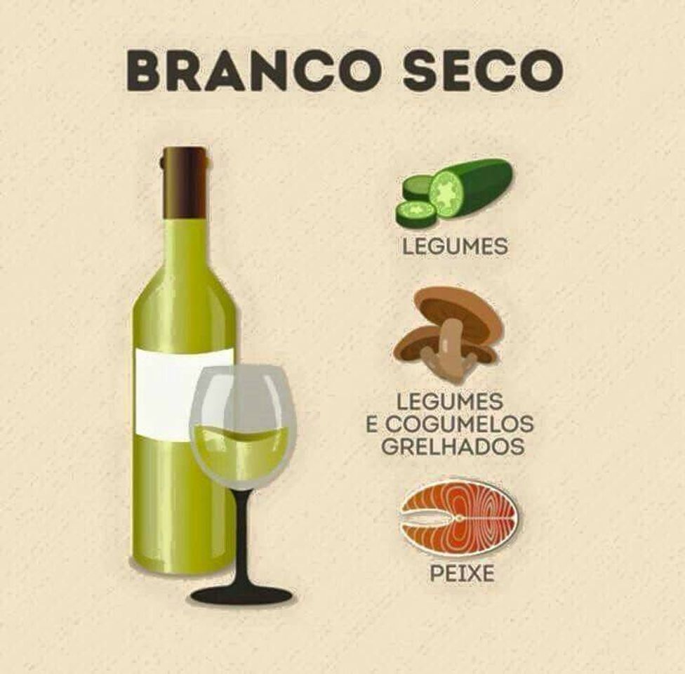 Moda Tudo sobre vinho 🍷