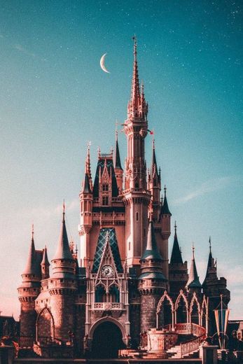 Disney um dos lugares mais lindos do mundo 😍😍 