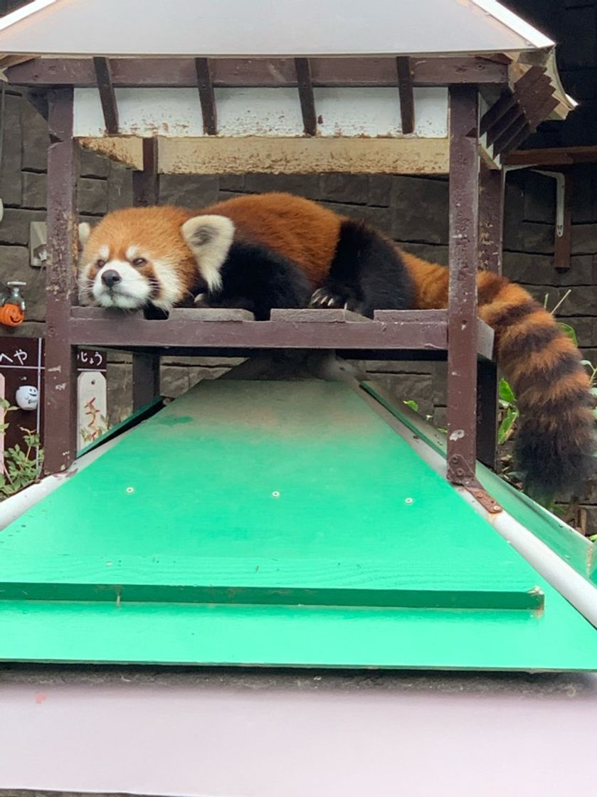 Place はまZOO (浜松市動物園)