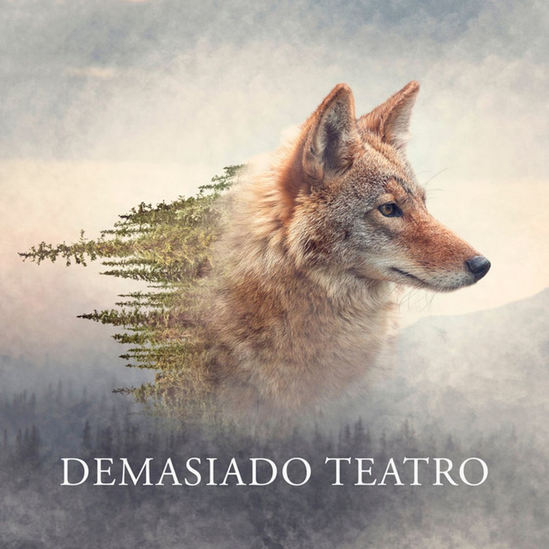 Canciones Demasiado Teatro