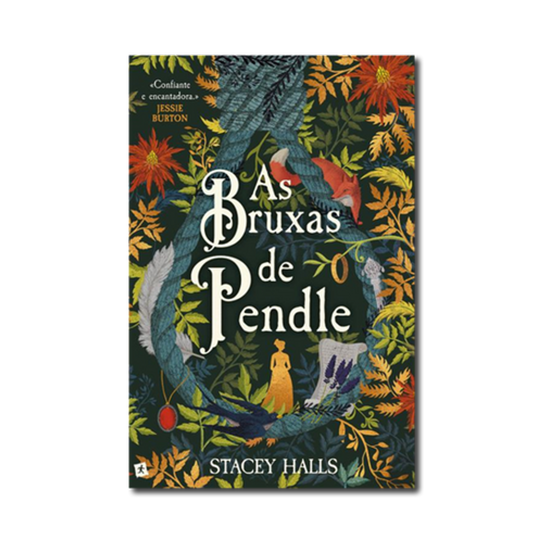 Libro As bruxas de Pendle