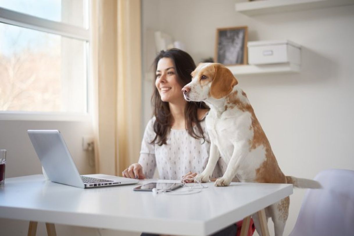Social Idéias para trabalhar em casa 