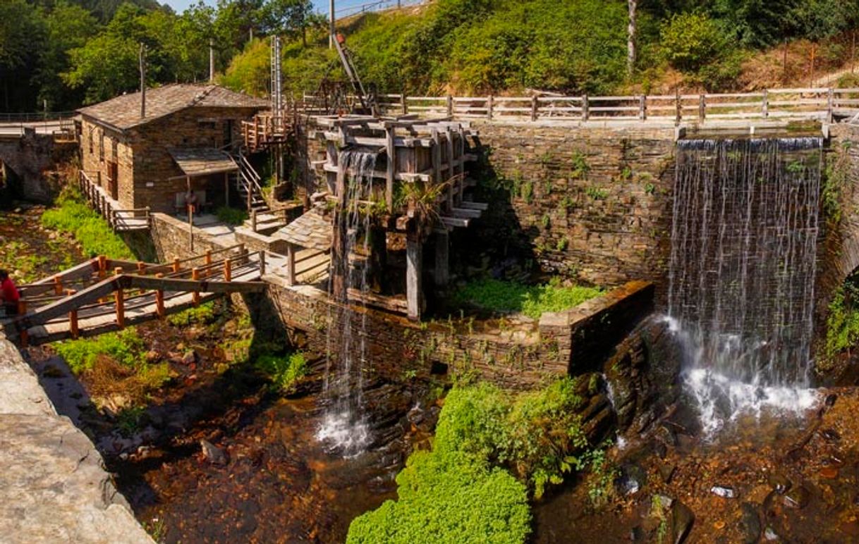 Place Mills Museum Mazonovo