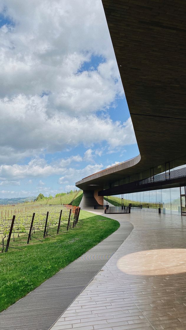 Restaurantes Antinori nel Chianti Classico