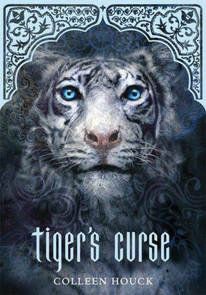 Libro Box A saga do tigre: A maldição do tigre • O resgate