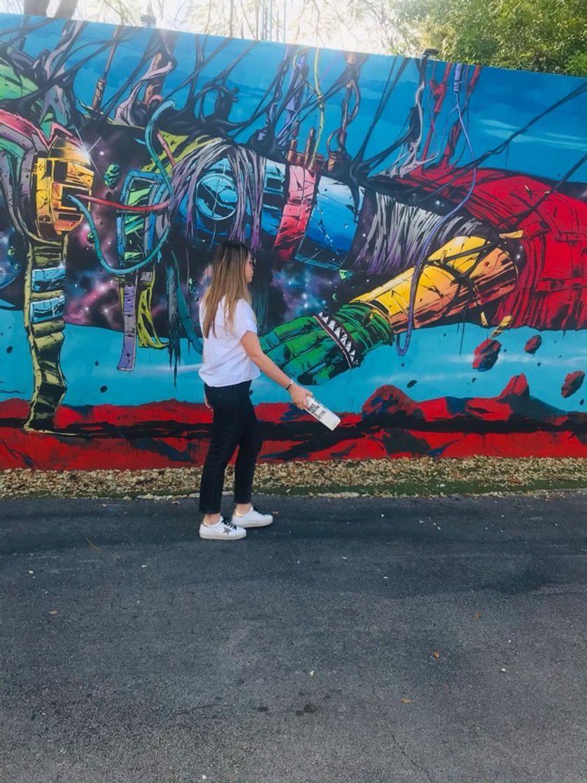 Place Wynwood Walls