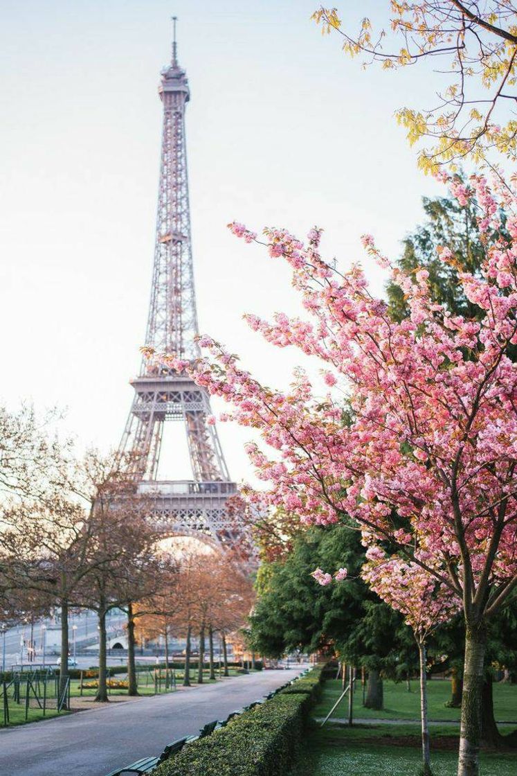 Fashion Paris, França 