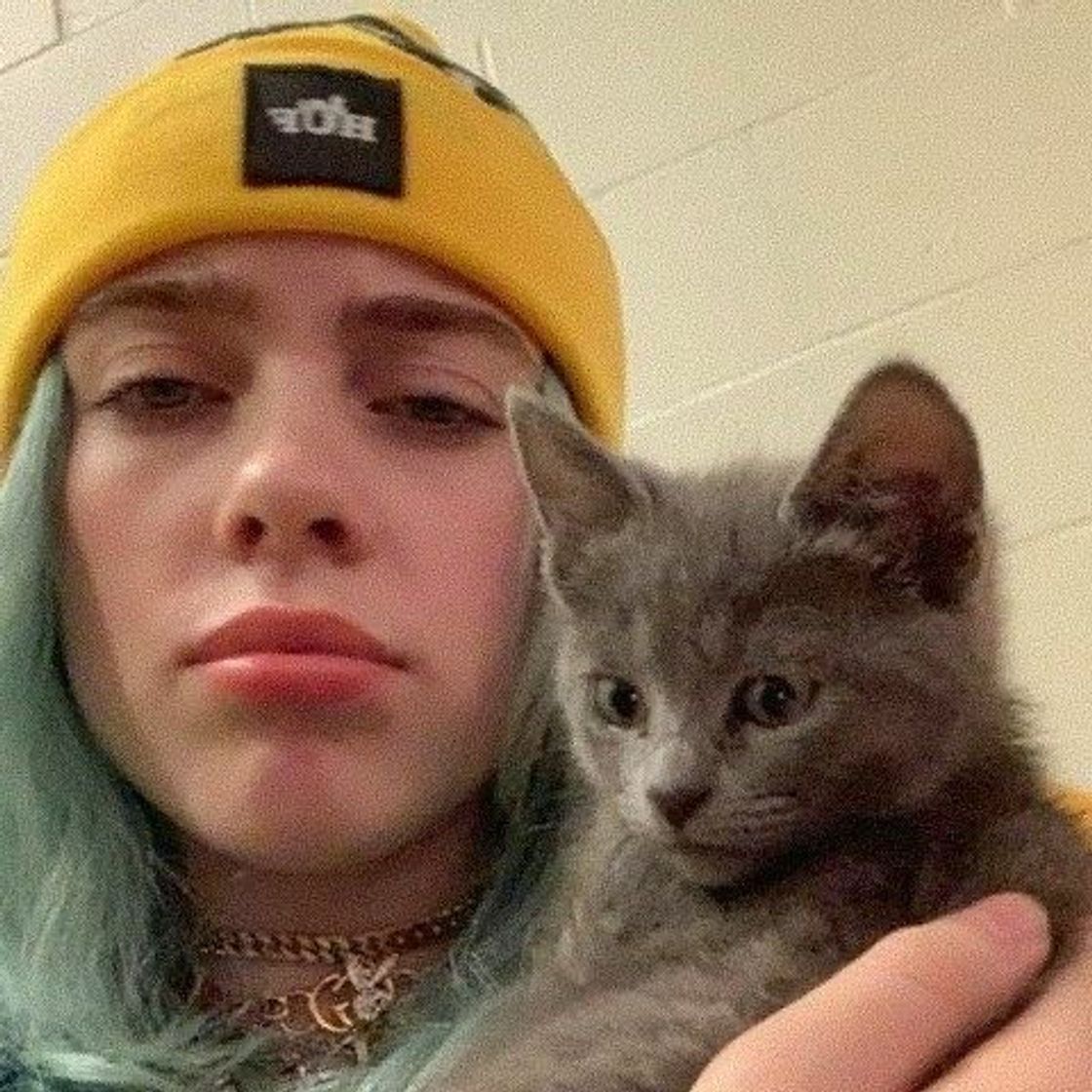 Fashion billie w cat 