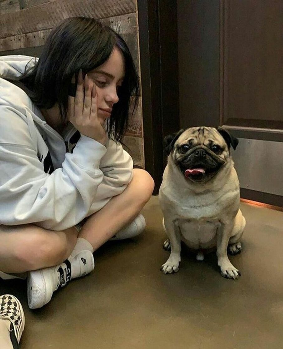 Fashion billie w pug 