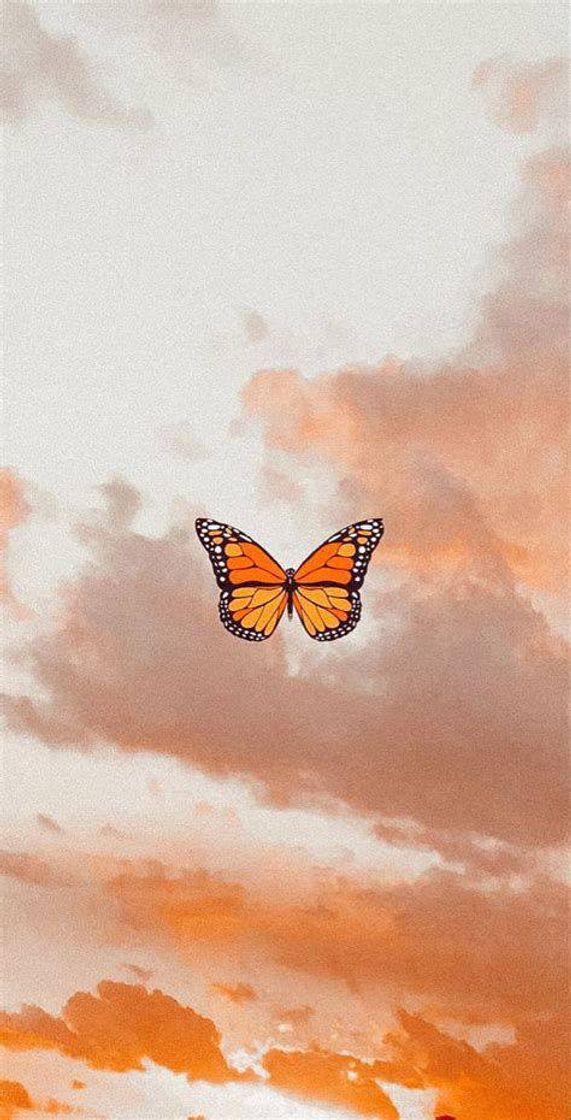 Moda Wallpaper 🦋 aesthetic 🦋