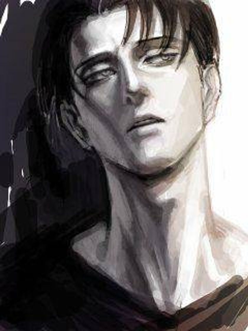 Social Levi