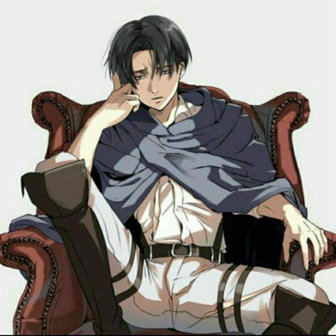 Social Levi
