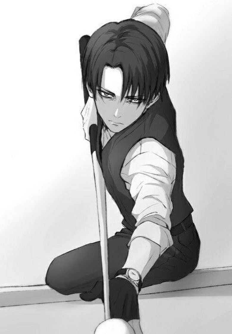 Social Levi