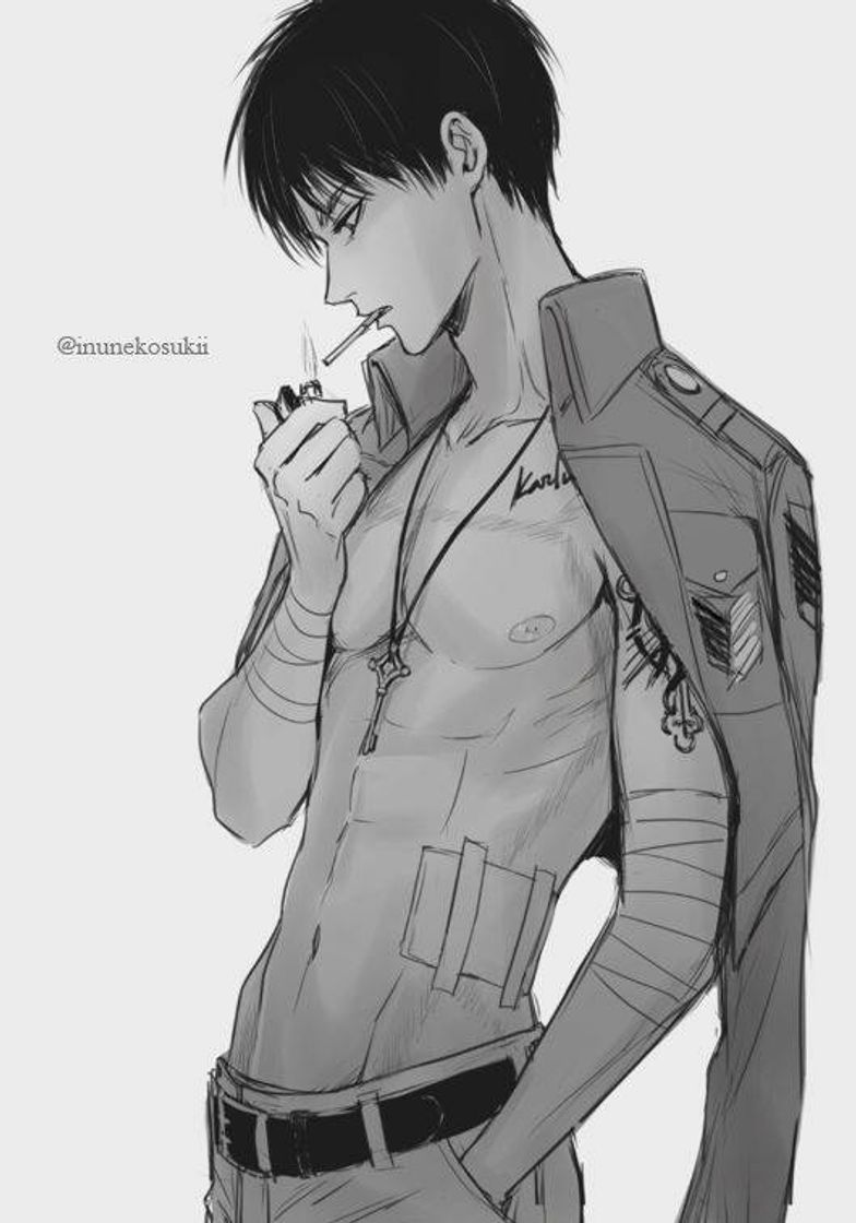 Social Levi