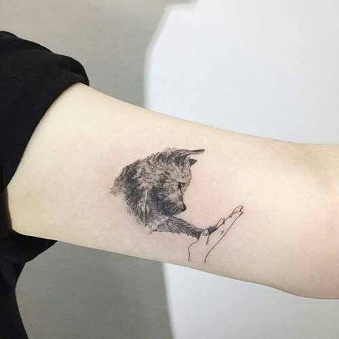 Social Dicas de tatuagens 