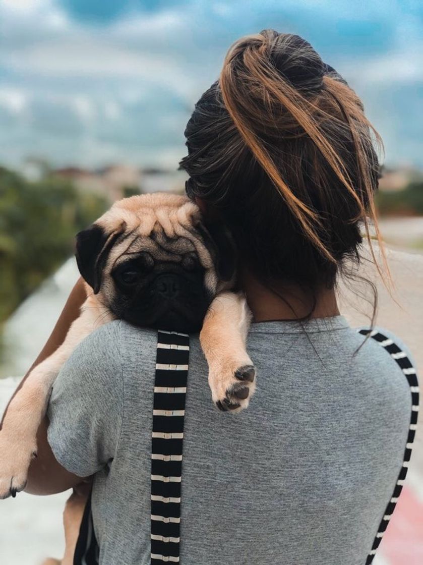 Moda Ideias de foto com pet 😍