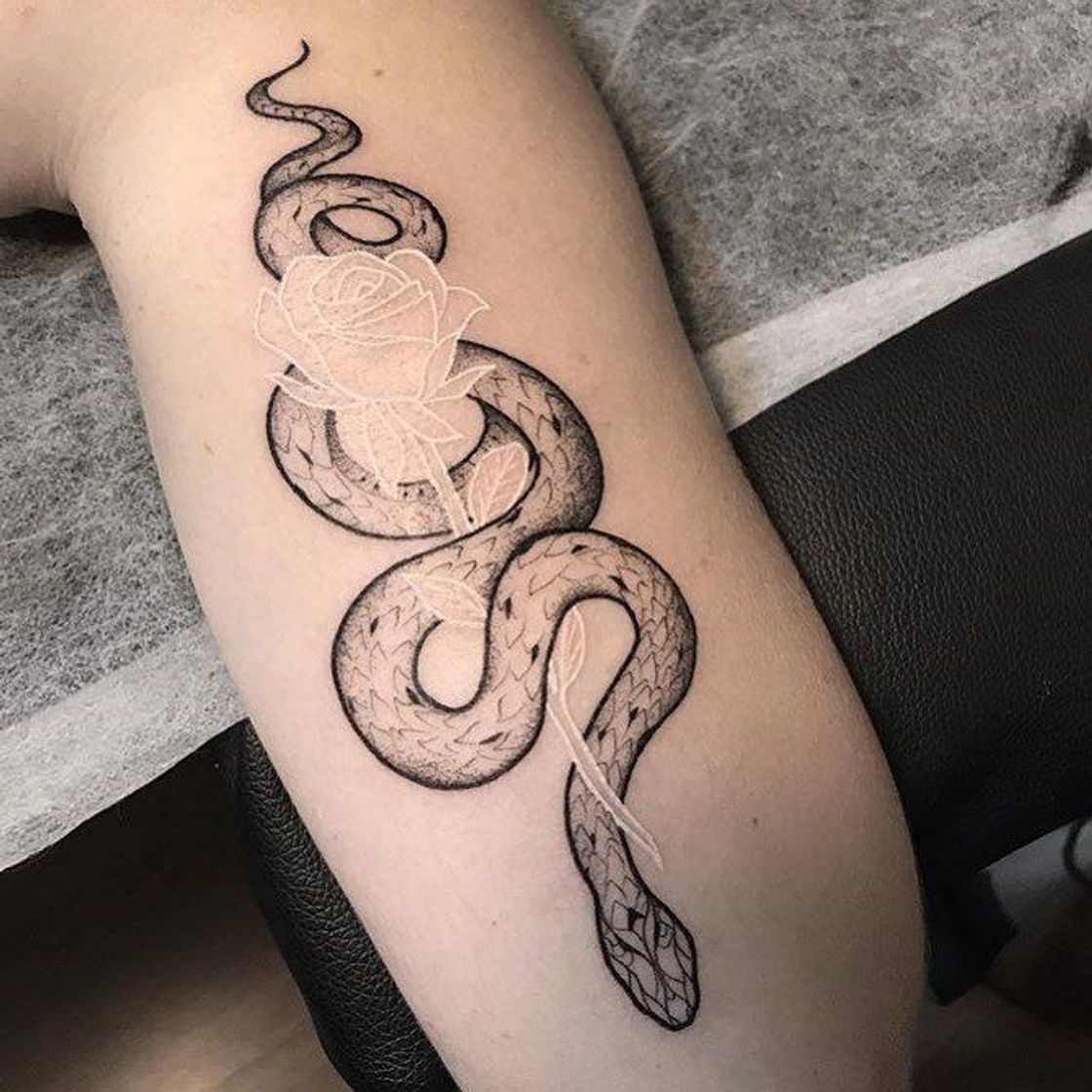 Social tatuagem de cobra