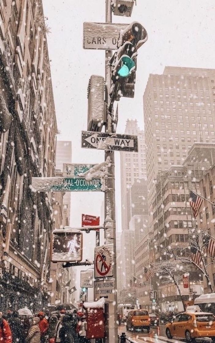 Social Wallpaper 