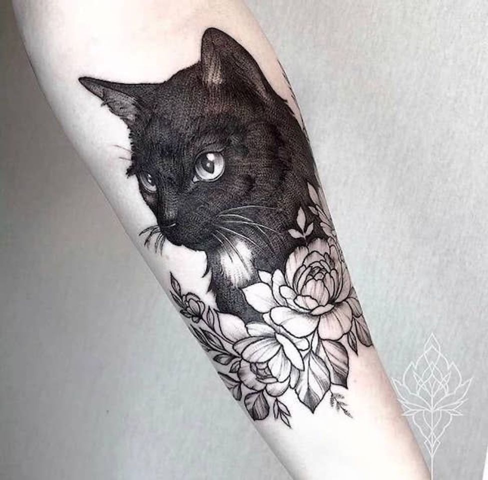 Social Tatuagem 